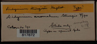 Image Associated With the Occurence